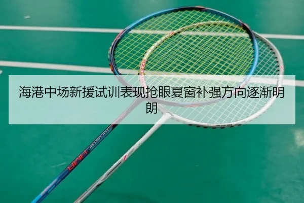 海港中场新援试训表现抢眼夏窗补强方向逐渐明朗